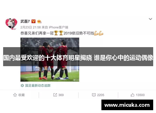 国内最受欢迎的十大体育明星揭晓 谁是你心中的运动偶像